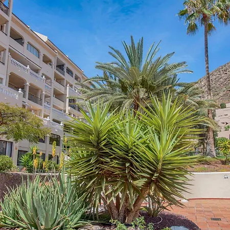 Apartment Cristianos Cozy Wild